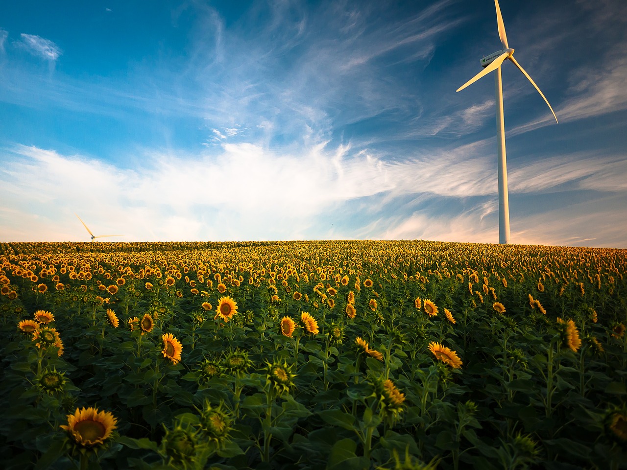 entdecken sie spannende karrieremöglichkeiten im bereich windenergie. nutzen sie ihre fähigkeiten in einer zukunftsorientierten branche und tragen sie zur nachhaltigen energiegewinnung bei.