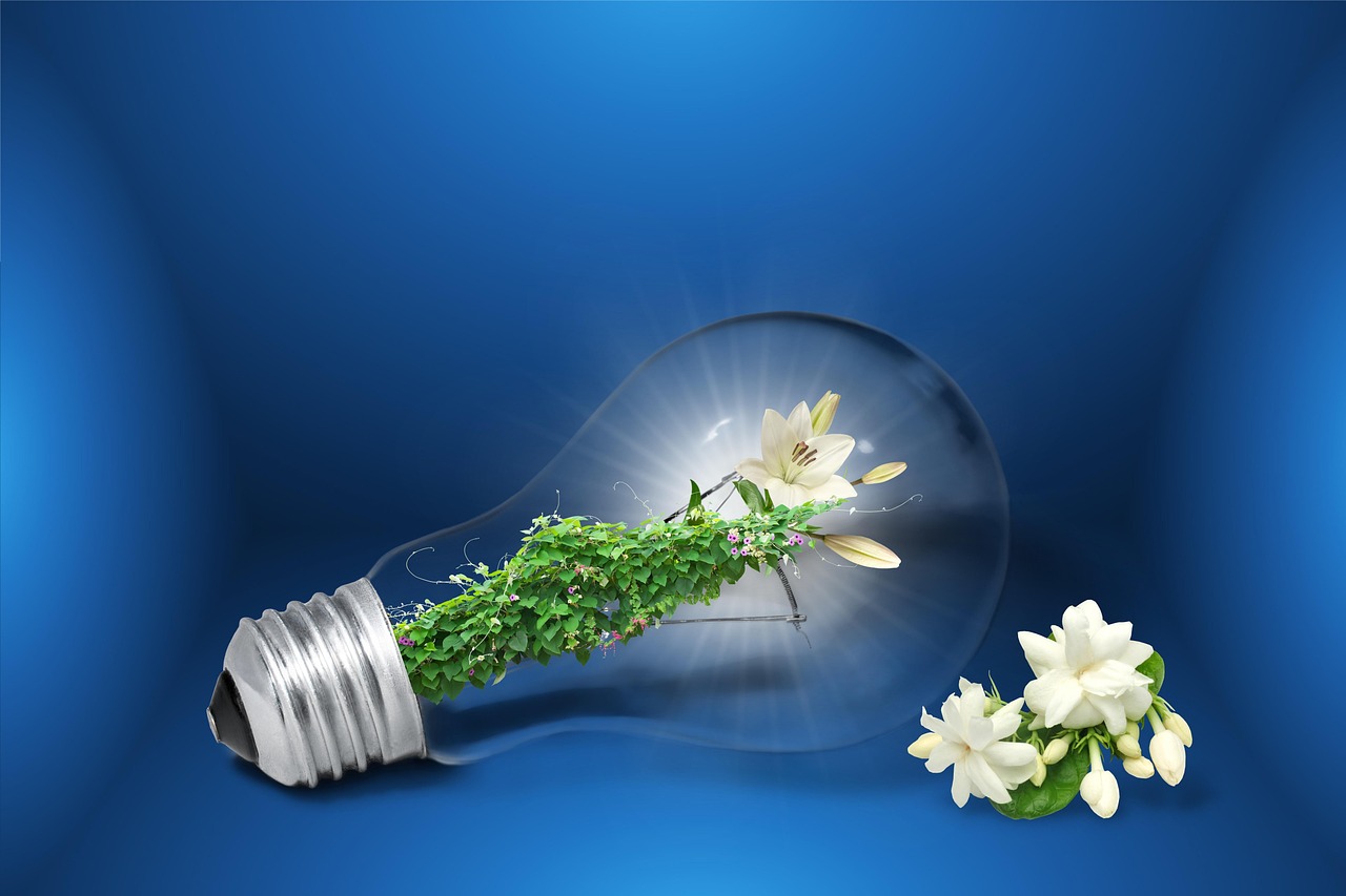 entdecken sie nachhaltige energiequellen, die umweltfreundlich und zukunftssicher sind. erfahren sie, wie sie ihren ökologischen fußabdruck reduzieren und gleichzeitig von erneuerbaren energien profitieren können.