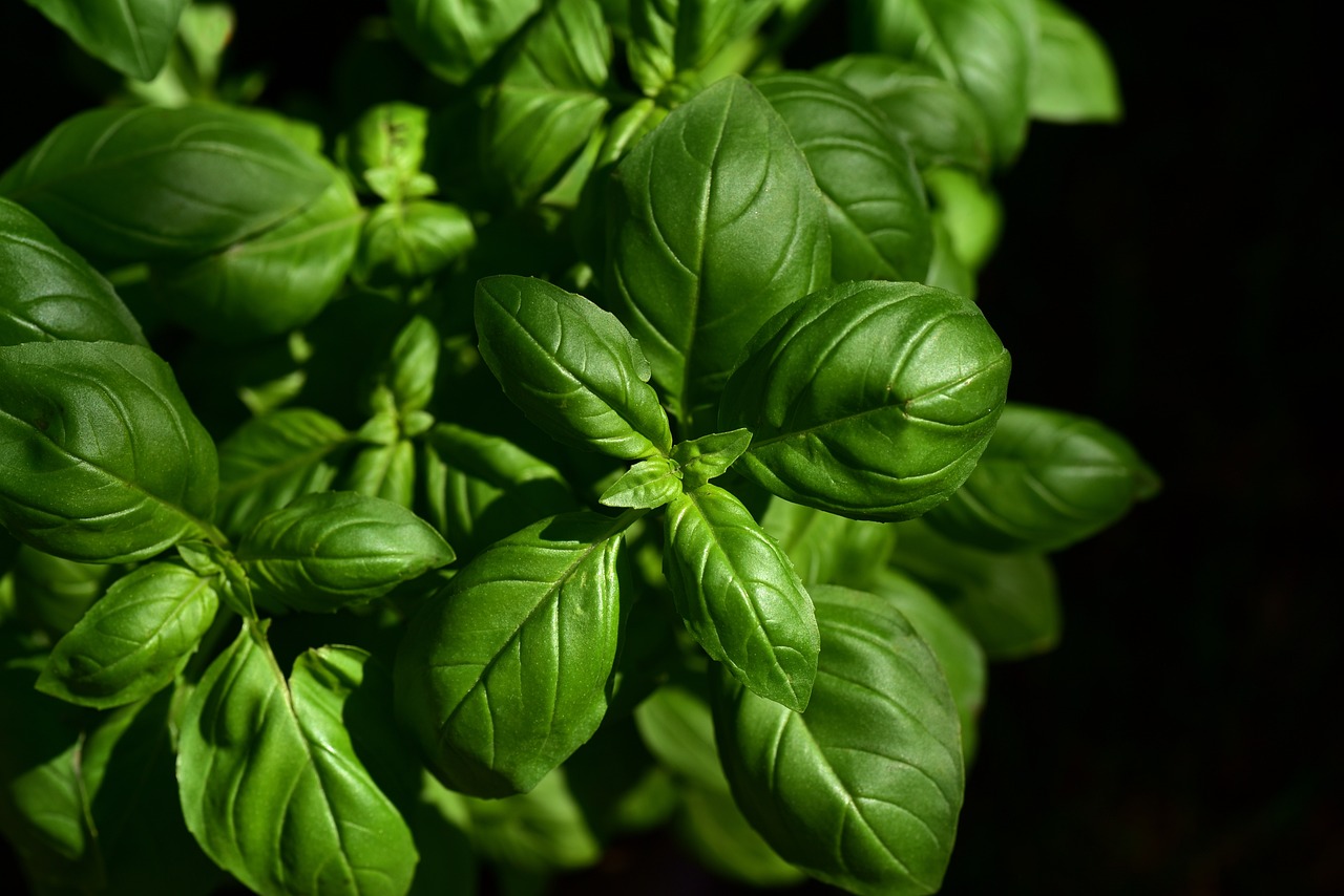 entdecken sie die welt der kulinarischen genüsse! inspirierende rezepte, kochtechniken und gastronomische trends erwarten sie, um ihre kochkünste zu verfeinern und ihre geschmacksknospen zu verwöhnen.