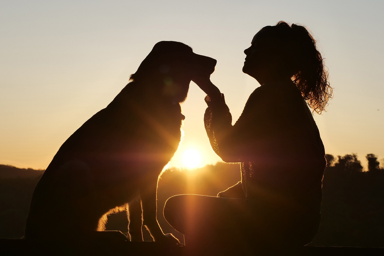 entdecken sie die besten tipps und produkte für die tierpflege. erfahren sie, wie sie das wohlbefinden ihres haustieres mit hochwertigen pflege- und ernährungsprodukten optimieren können.