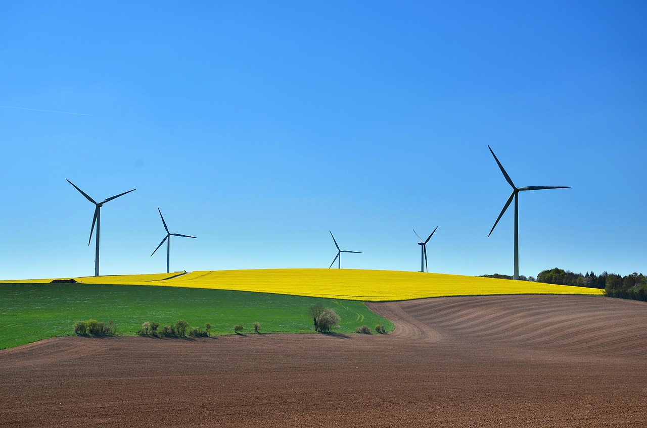 entdecken sie nachhaltige technologien, die die zukunft formen. von erneuerbaren energien bis zu umweltfreundlichen materialien – erfahren sie, wie innovationen unseren planeten schützen und eine grüne lebensweise fördern.
