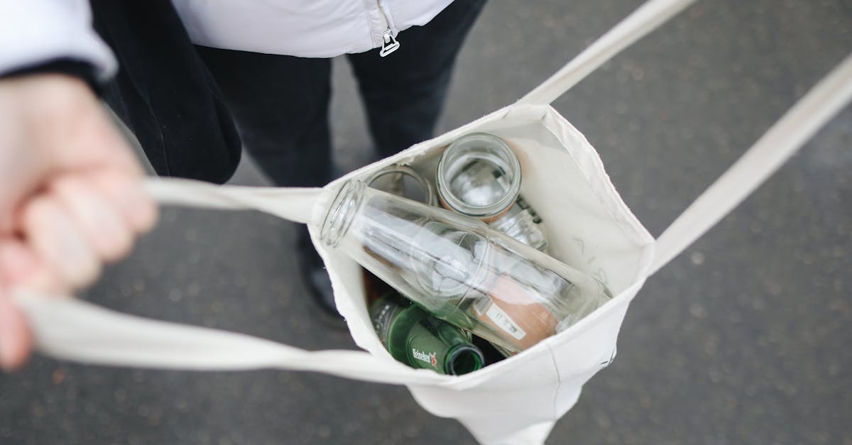 Nachhaltigkeit im Alltag: Tipps für ein umweltfreundliches Leben