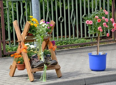 blumen