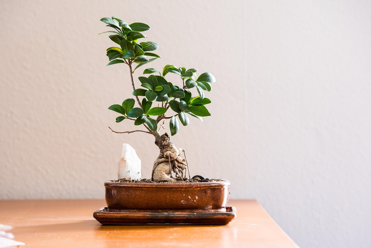 Praktische Tipps für ein nachhaltiges Leben