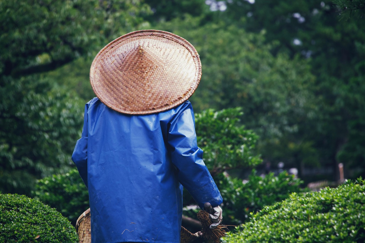 Gartenarbeit: Tipps und Tricks für einen blühenden Garten