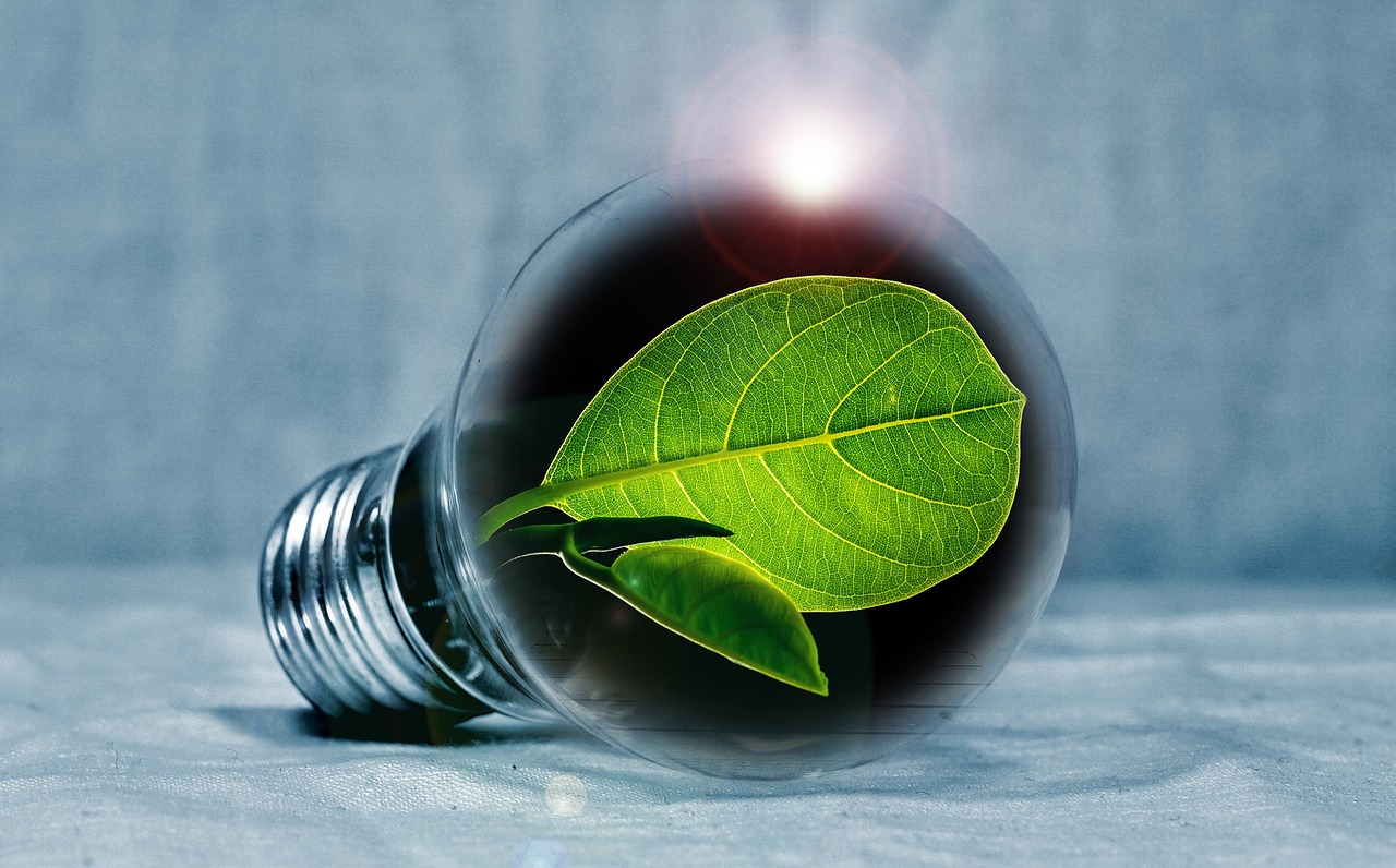 Innovationen, die die Zukunft gestalten