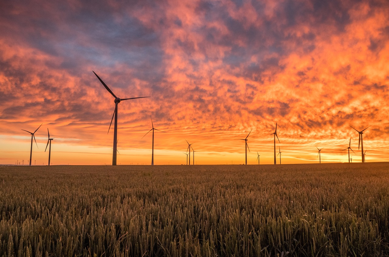 Wie wird man 2025 Projektleiter in der Windenergie?