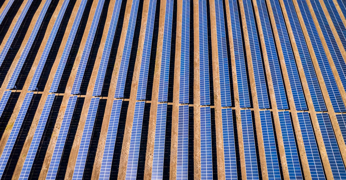 Energieeffizienz im Alltag verbessern